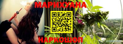 метадон Шелехов