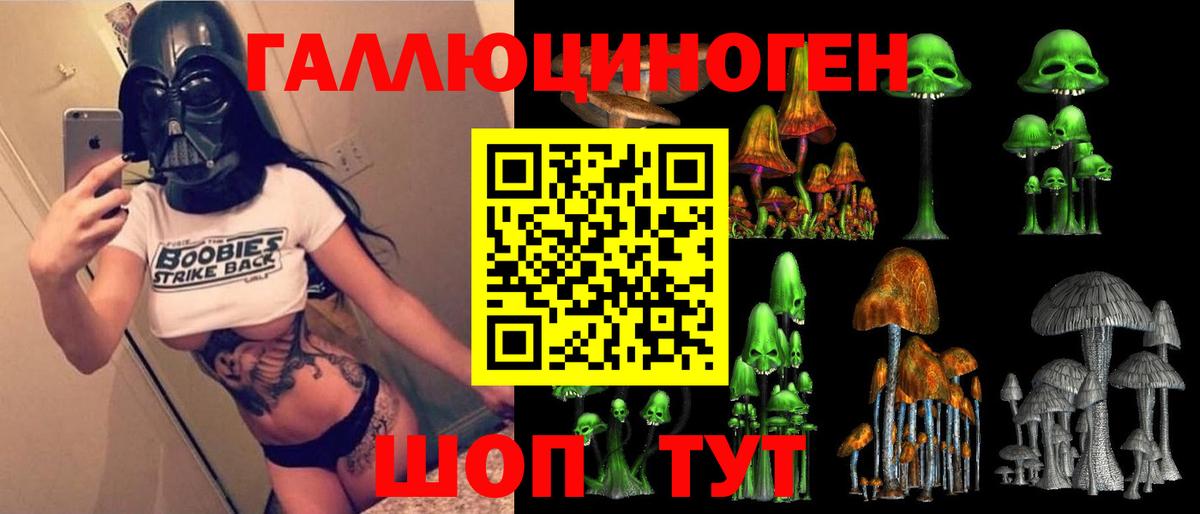 Азнакаево  Галлюциногенные грибы Psilocybe  Вход с VPN  где найти наркотики  Галлюциногенные грибы мицелий 
